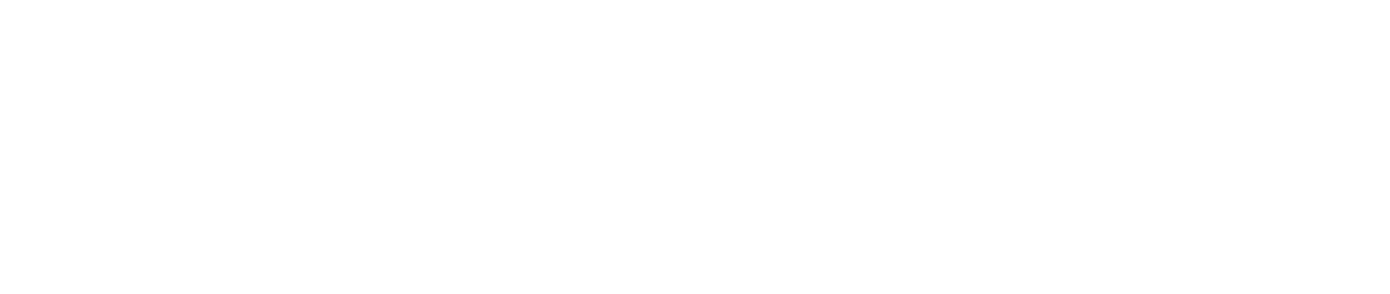 VeloxMart